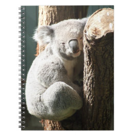 Caderno Espiral Notebook Koala