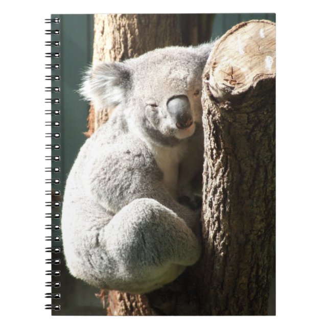 Caderno Espiral Notebook Koala (Frente)