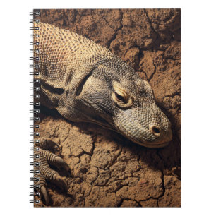 Caderno Espiral Notebook Komodo Dragon Earth