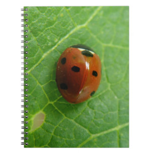 Caderno Espiral Notebook Ladybug