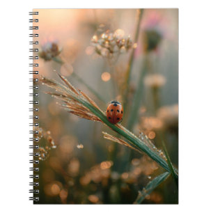 Caderno Espiral Notebook Ladybug Sunrise