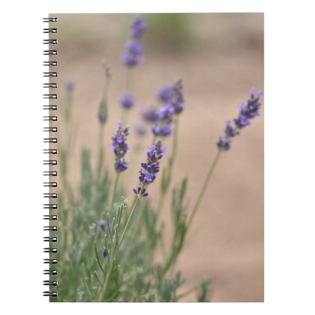 Caderno Espiral Notebook Lavendar/Diário (Frente)