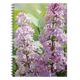 Caderno Espiral Notebook Lilac P5390