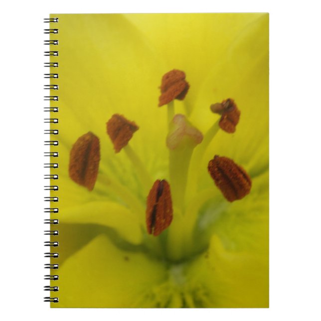 Caderno Espiral Notebook Lily Floral amarelo (Frente)