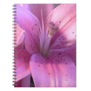 Caderno Espiral Notebook Lily Rosa