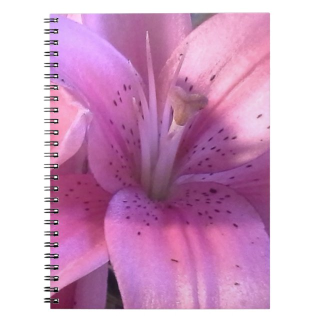 Caderno Espiral Notebook Lily Rosa (Frente)