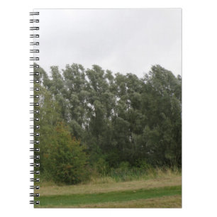 Caderno Espiral Notebook Line of Leanding Trees Landscape