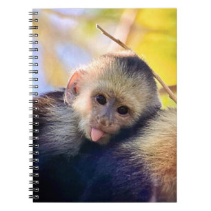 Caderno Espiral Notebook Macaco Engraçado