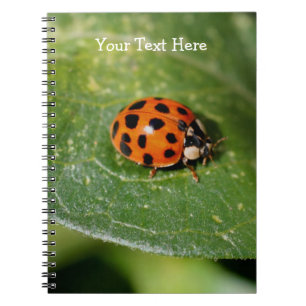 Caderno Espiral Notebook Macro Ladybug Nature
