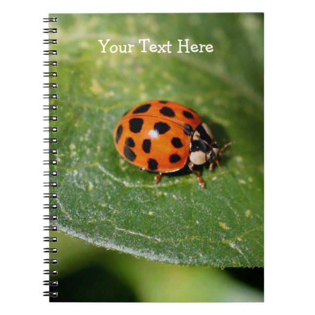 Caderno Espiral Notebook Macro Ladybug Nature (Frente)