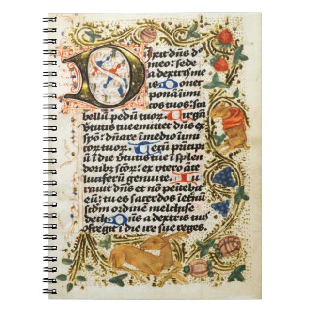 Caderno Espiral Notebook Manuscrito Iluminado (Frente)