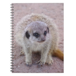 Caderno Espiral Notebook Meerkat