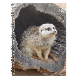 Caderno Espiral Notebook Meerkat