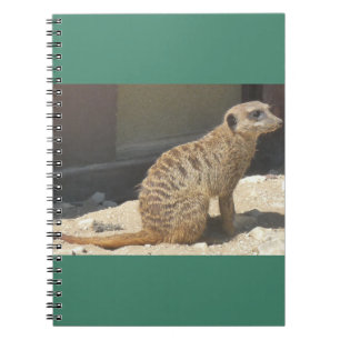 Caderno Espiral Notebook Meerkat