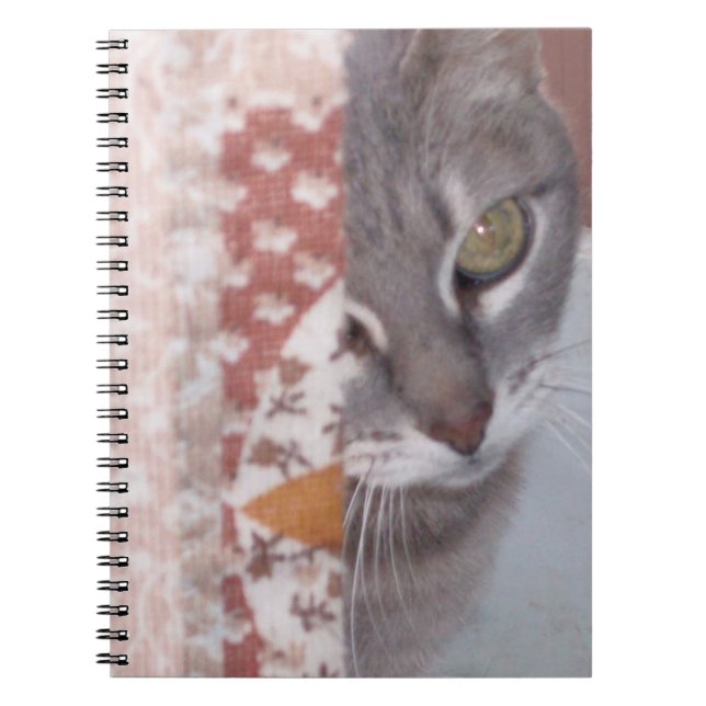 Caderno Espiral Notebook Meow Cats 13 (Frente)