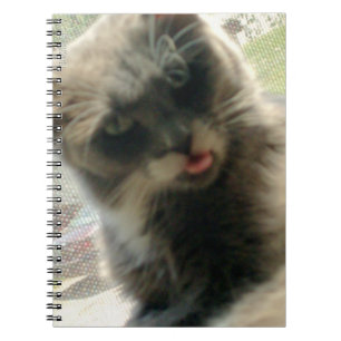 Caderno Espiral Notebook Meow Cats 2