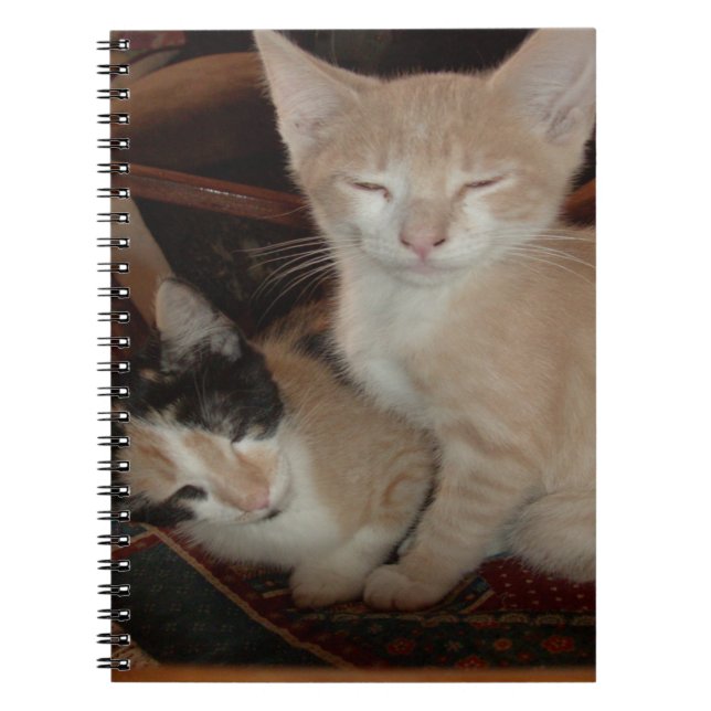 Caderno Espiral Notebook Meow Cats 28 (Frente)