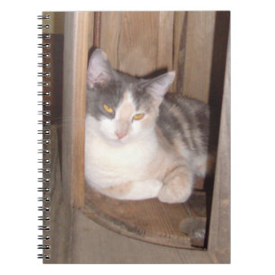 Caderno Espiral Notebook Meow Cats 33