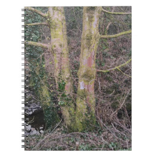Caderno Espiral Notebook Mirror Trees