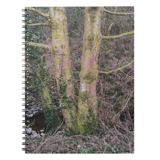 Caderno Espiral Notebook Mirror Trees (Frente)