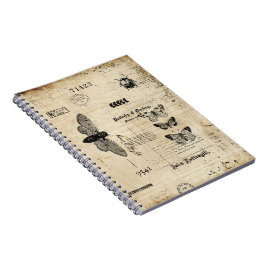 Caderno Espiral Notebook modelo