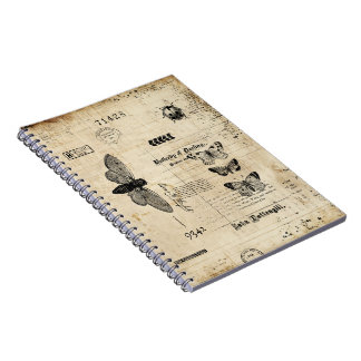 Caderno Espiral Notebook modelo