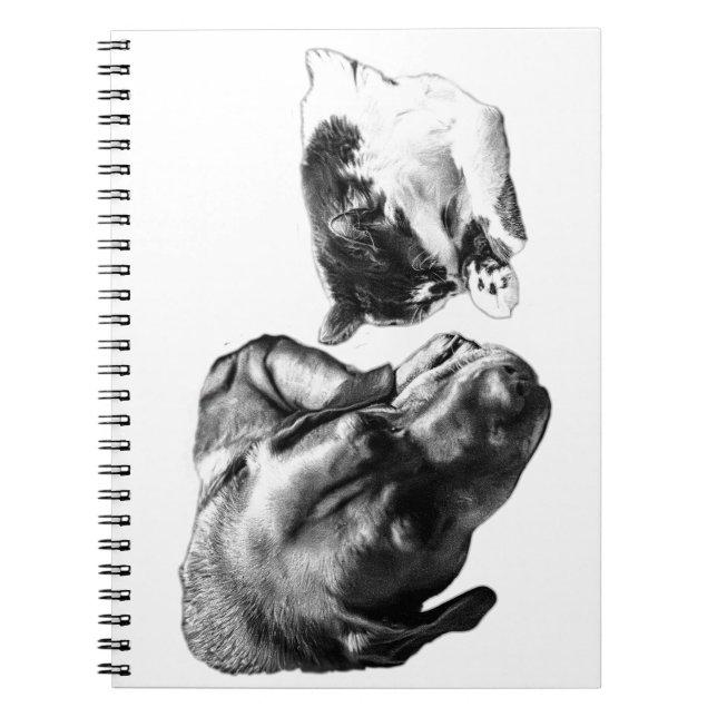 Caderno Espiral Notebook monocromático para anéis e gatos (Frente)