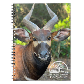 Caderno Espiral Notebook Mountain Bongo