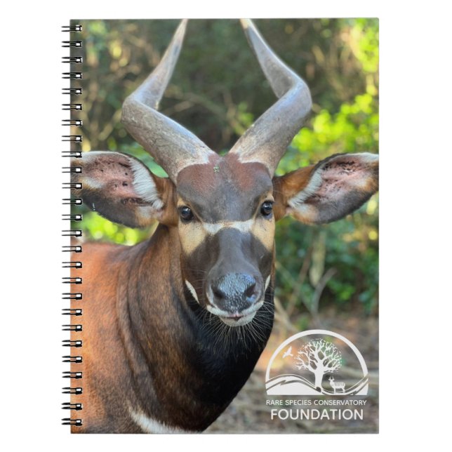 Caderno Espiral Notebook Mountain Bongo (Frente)