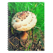 Notebook Mushroom