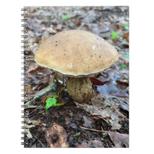Caderno Espiral Notebook Mushroom