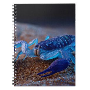Caderno Espiral Notebook Neon Blue Scorpion
