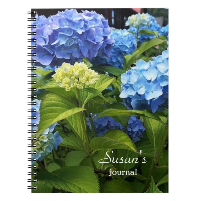 Caderno Espiral Notebook Nikko Blue Hydrangea Flower Spiral (Frente)