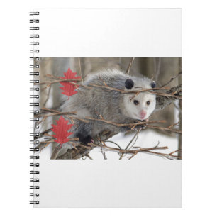 Caderno Espiral Notebook Ogambm Nature