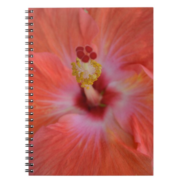 Caderno Espiral Notebook Orange Hibiscus (Frente)