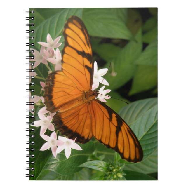 Caderno Espiral Notebook Orange Julia Butterfly (Frente)