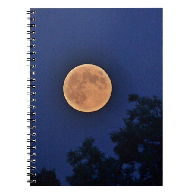 Caderno Espiral Notebook Orange Moon (Frente)