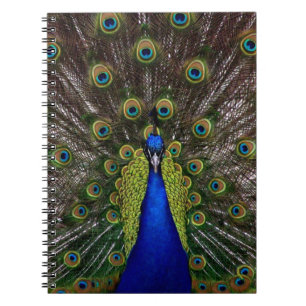 Caderno Espiral Notebook Orud Peacock