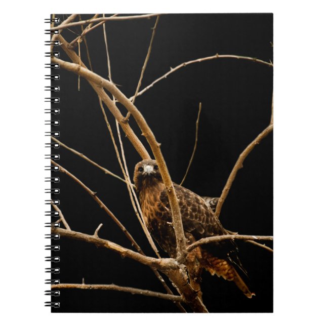 Caderno Espiral Notebook ouro (Frente)