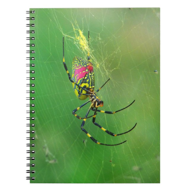 Caderno Espiral Notebook Ouro Orb Weaver Spider (Frente)