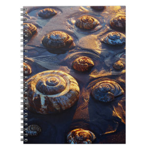 Caderno Espiral Notebook Ouro Seashells Beach