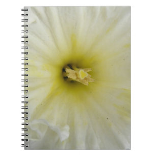 Caderno Espiral Notebook Pale Daffodil bonito