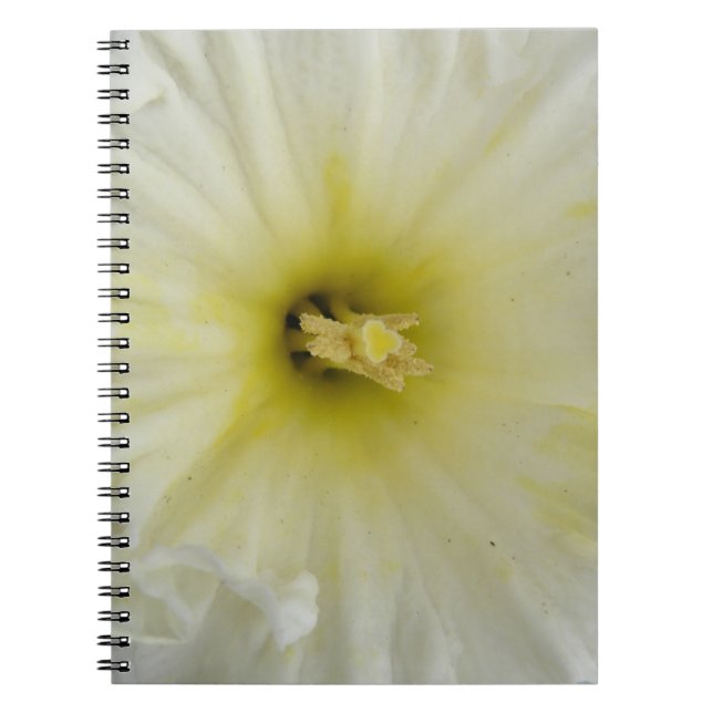 Caderno Espiral Notebook Pale Daffodil bonito (Frente)