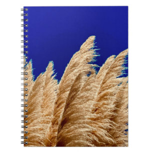 Caderno Espiral Notebook Pampas e Sky