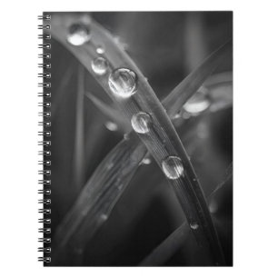 Caderno Espiral Notebook para macro lâmina de gramíneas de Dewdrop