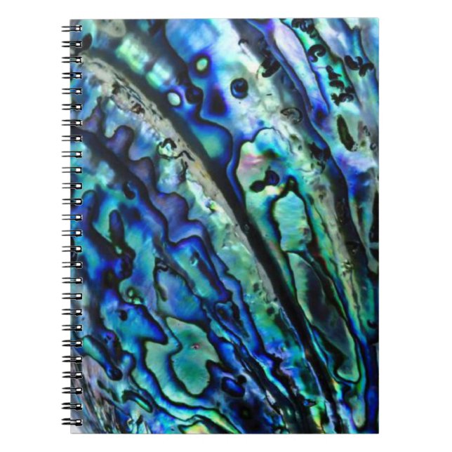 Caderno Espiral Notebook Paua Abalone iridescente (Frente)