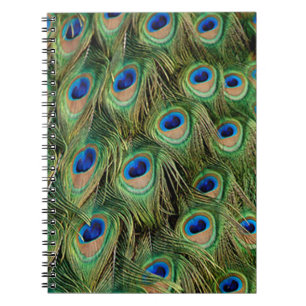 Caderno Espiral Notebook Peacock