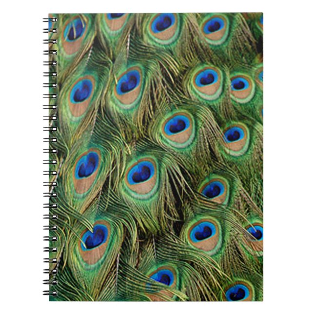 Caderno Espiral Notebook Peacock (Frente)