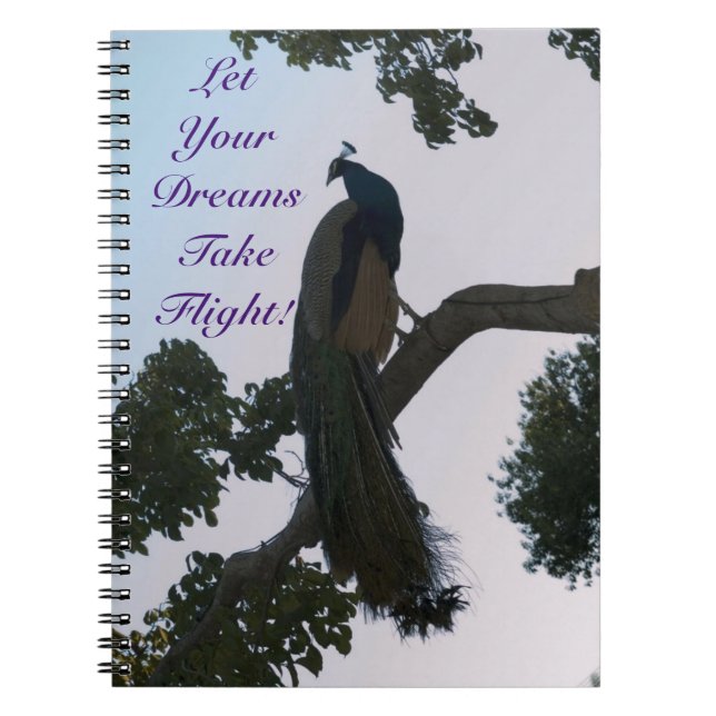 Caderno Espiral Notebook Peacock Dreams (Frente)