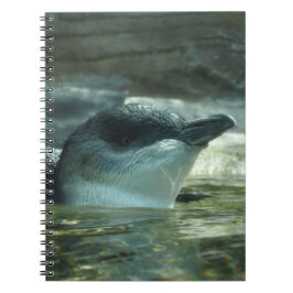 Caderno Espiral Notebook Penguin